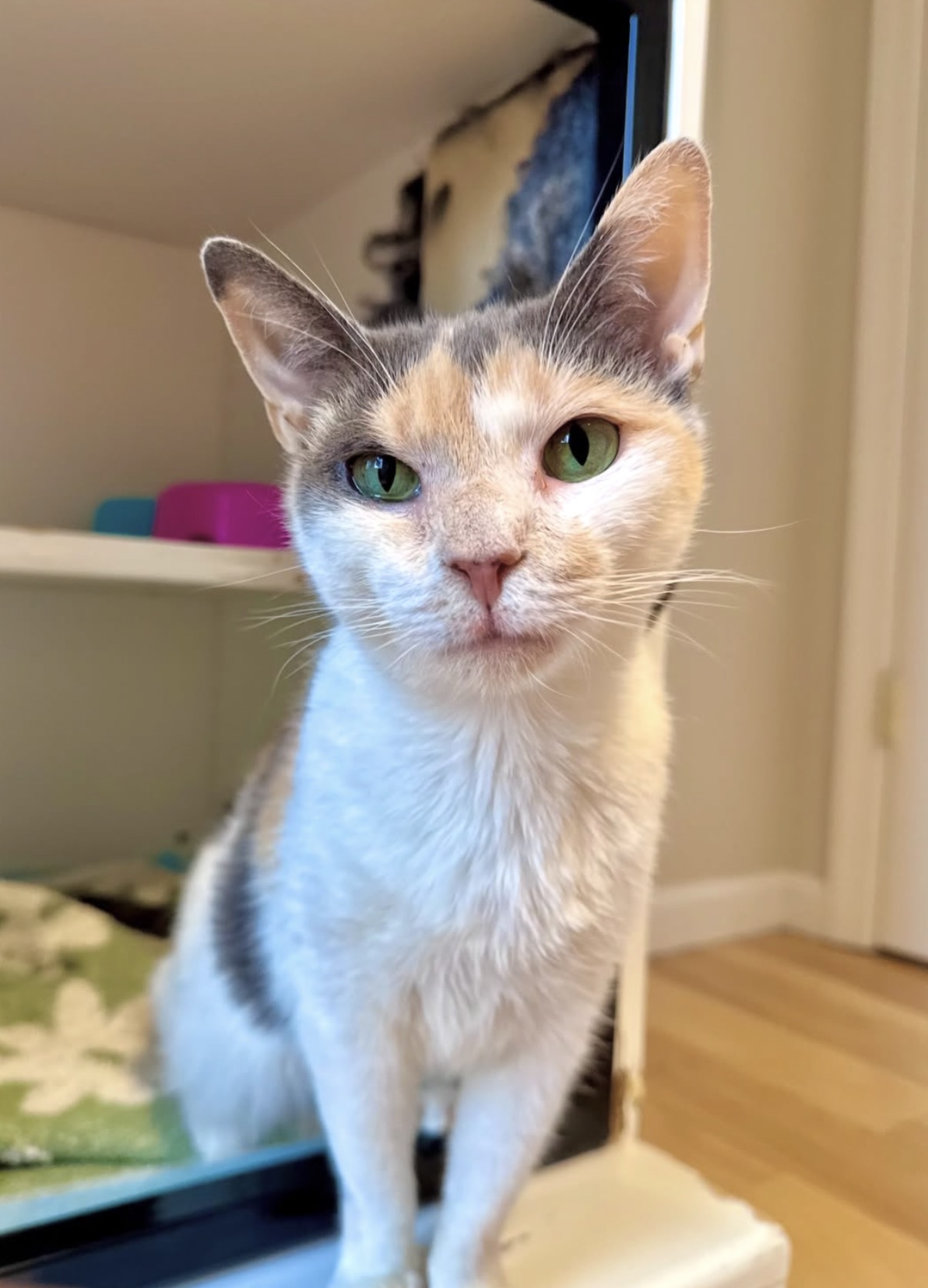 Winnie
