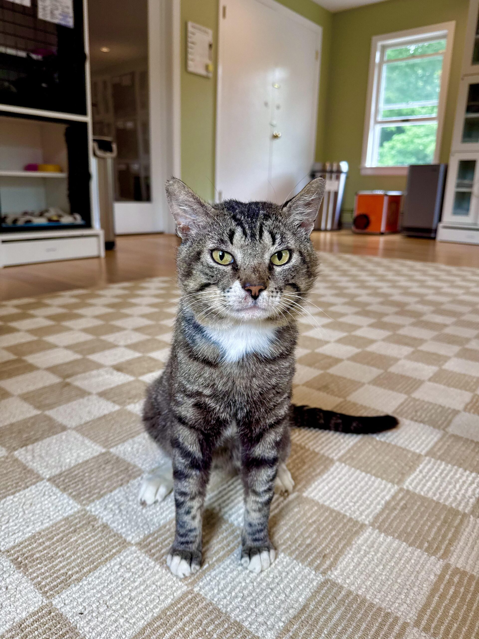 Monty